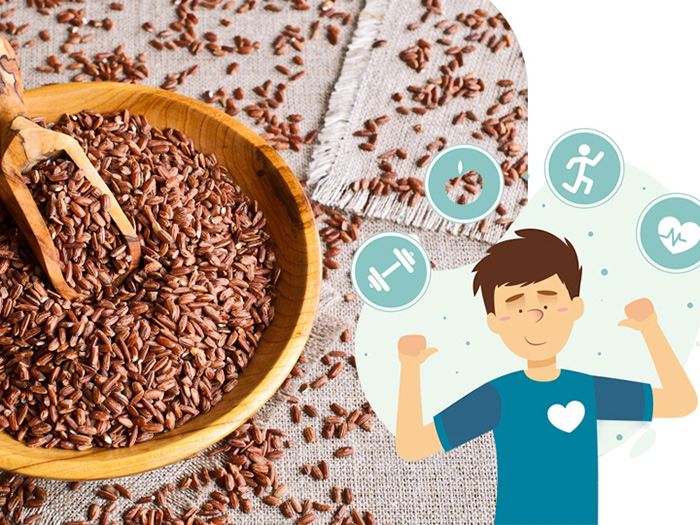 Những ai không nên ăn hoặc nên hạn chế ăn gạo lứt?