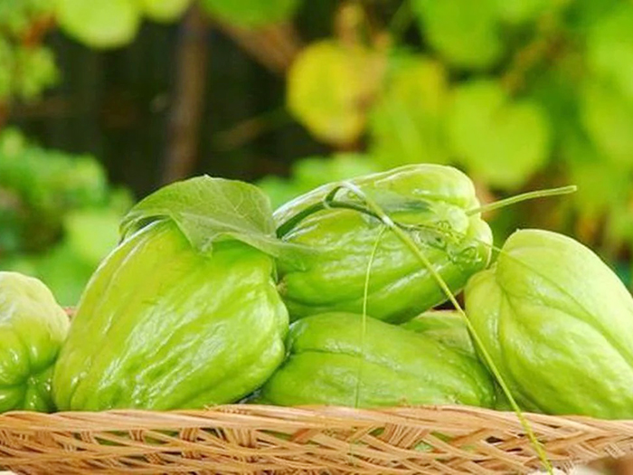 Những người có chỉ số axit uric cao nên ăn nhiều quả su su vì sao?