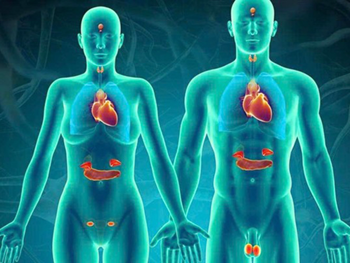 Cách nhận biết tăng nội tiết tố nữ và cách điều trị hiệu quả